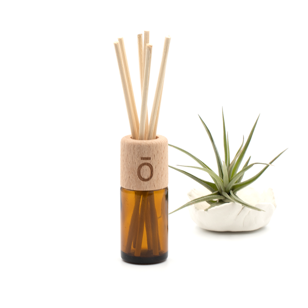 Reed Diffuser for Essential Oil Bottle Fitment