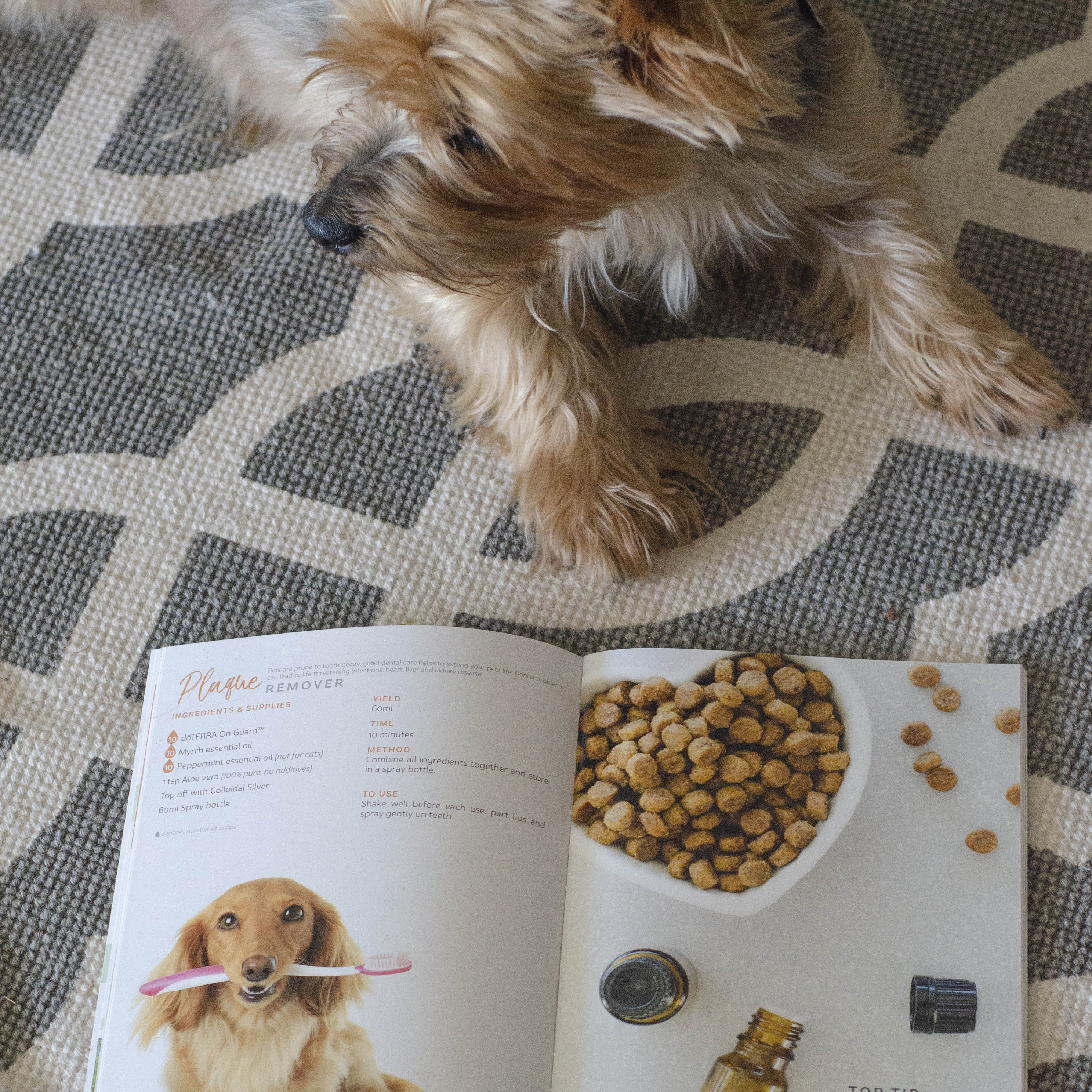 Essentially Cats & Dogs : Make & Create Recipes (includes over 40 labels) with Dr Janet Roark