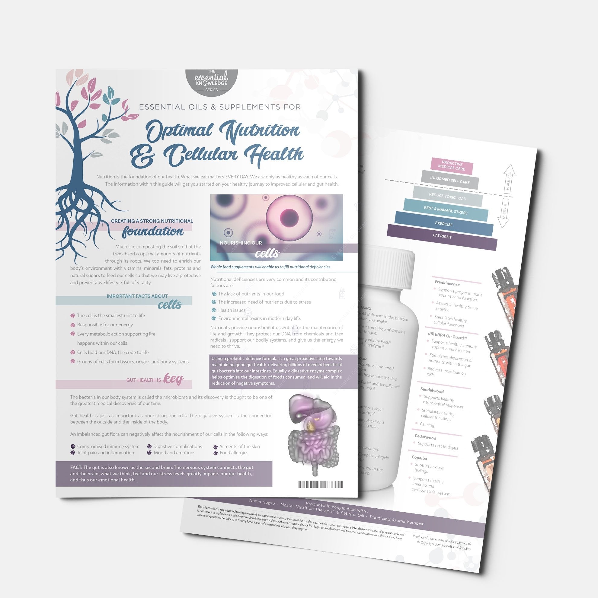 Nutrition & Cellular Health