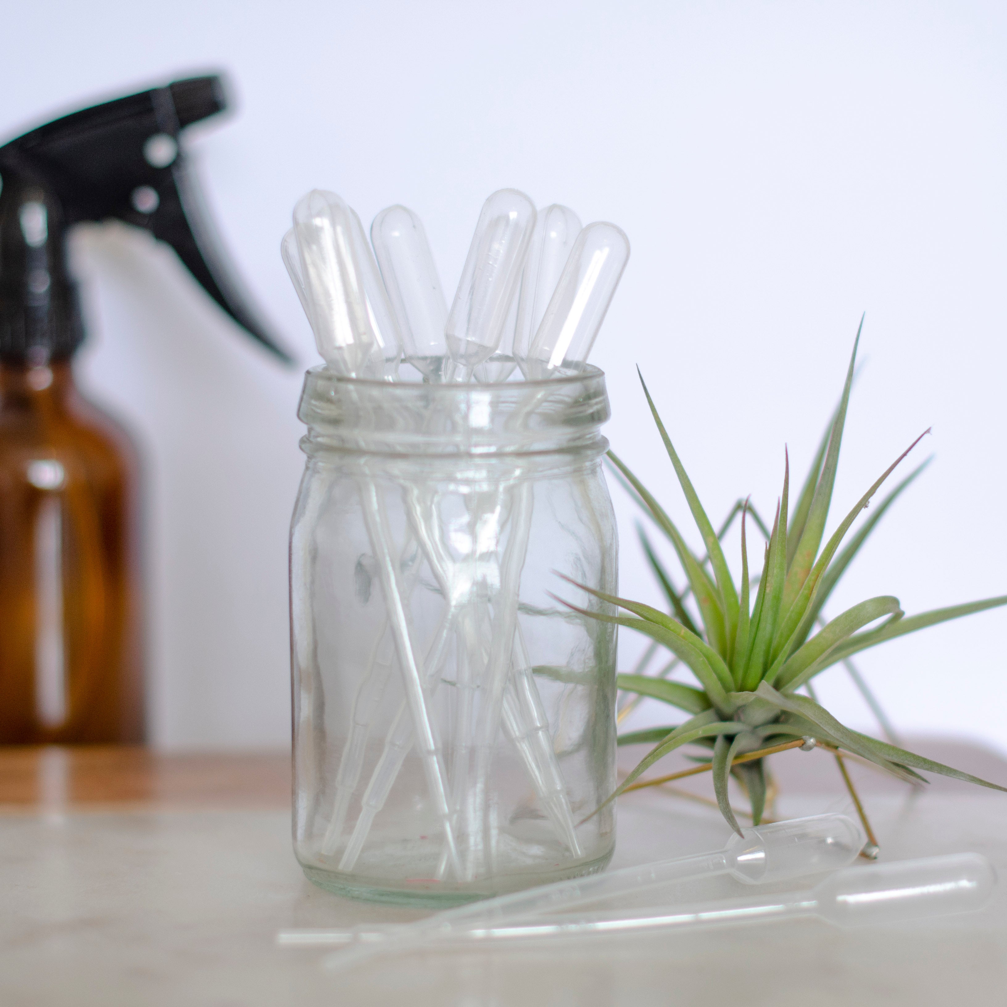 3ml Transfer Pipettes (10 pack)