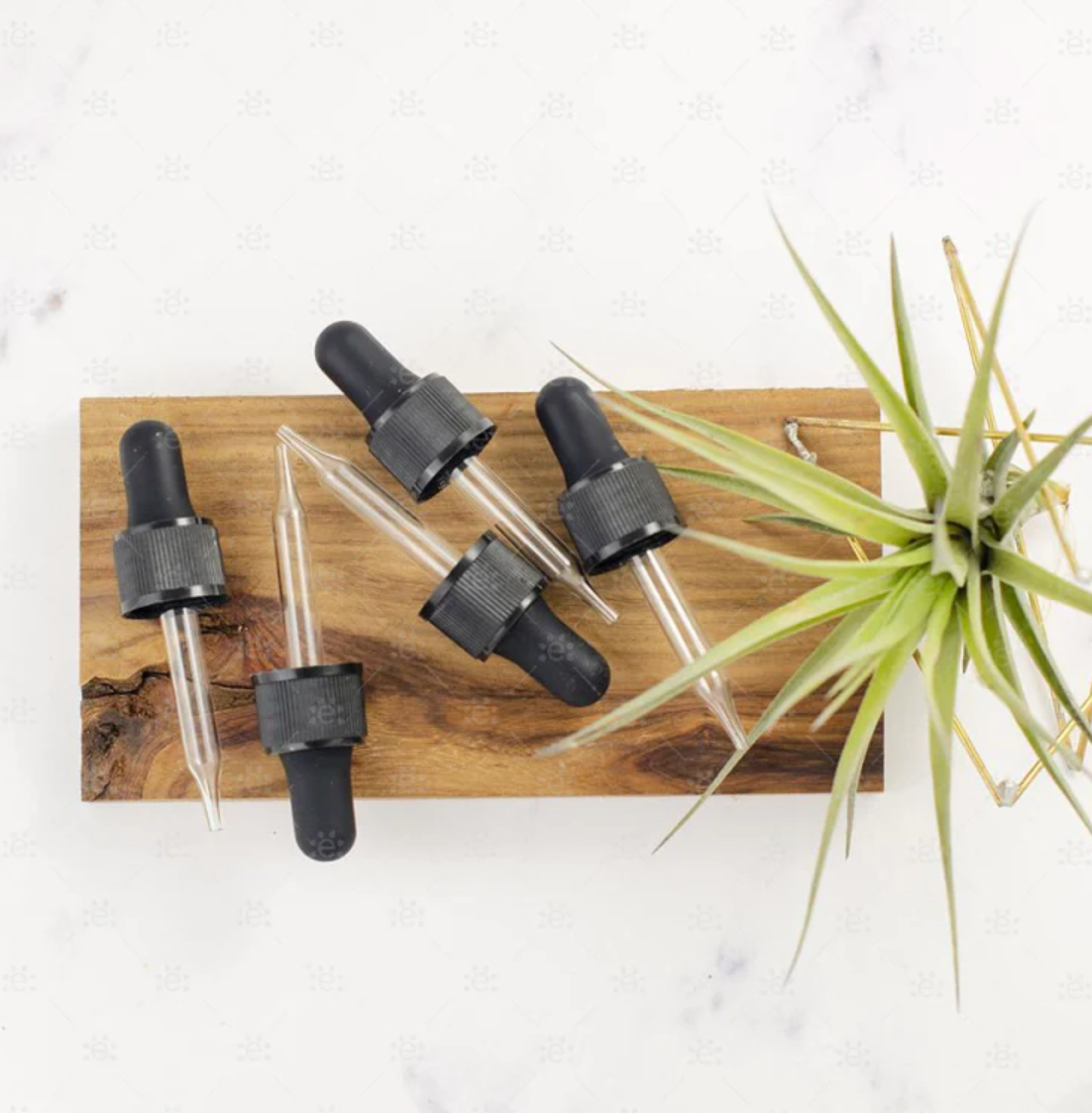 Glass Dropper for 10ml Bottles (5 Pack) Fitment