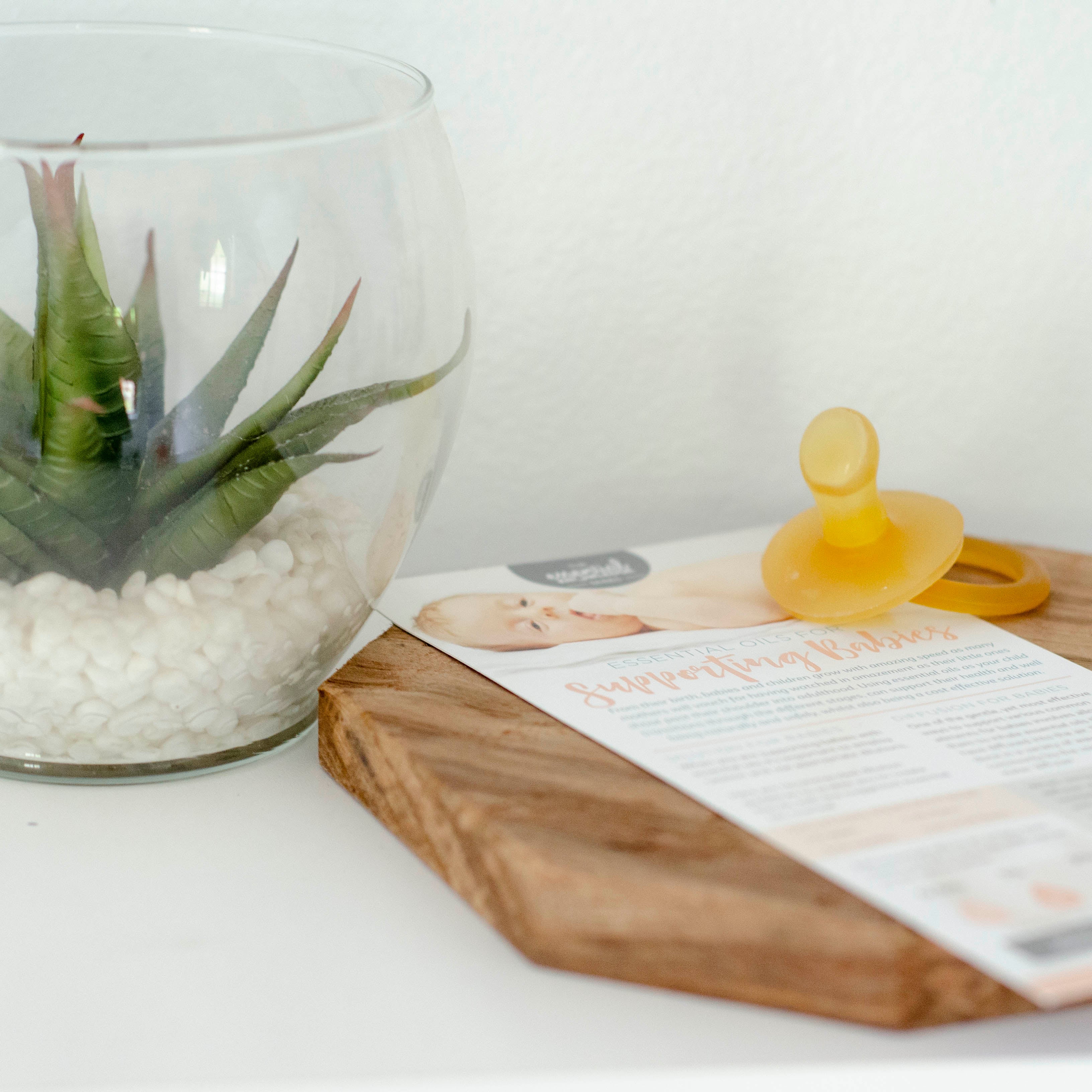 Supporting Babies Rack Card (Single)