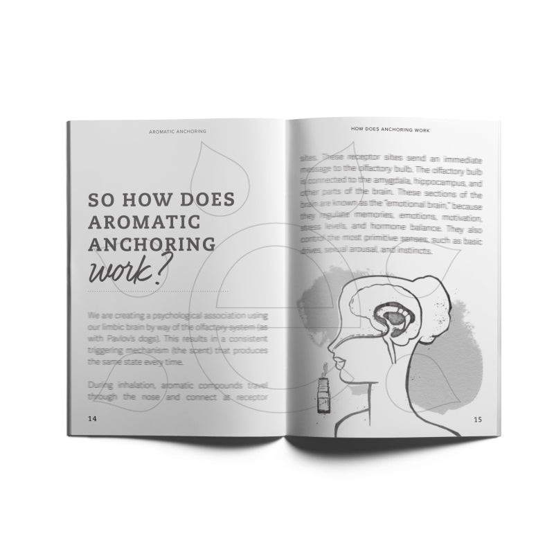 Aromatic Anchoring By Melinda J Brecheisen Books